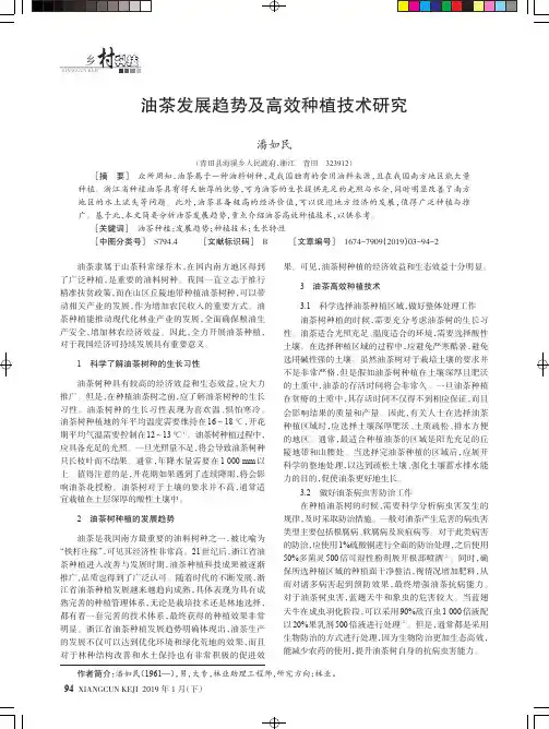 油茶发展趋势及高效种植技术研究
