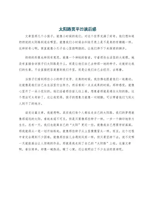 太阳路贾平凹读后感
