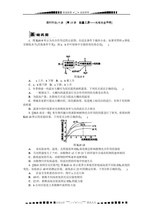 高考生物(新课标通用)一轮复习作业手册：第10讲 能量之源——光与光合作用B Word版含解析[ 高考]