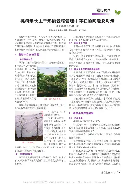 桃树细长主干形桃栽培管理中存在的问题及对策