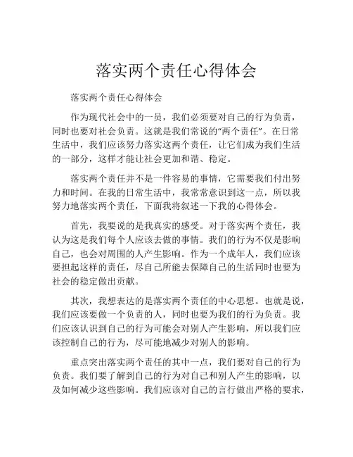 落实两个责任心得体会