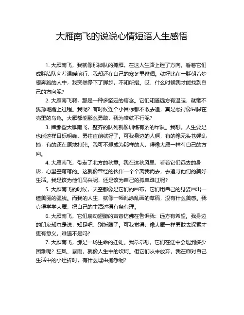 大雁南飞的说说心情短语人生感悟