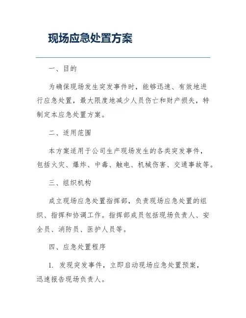 现场应急处置方案