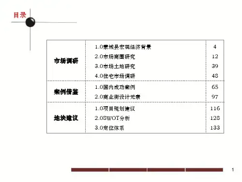 某路地块项目整体定位及可行性发展建议报告