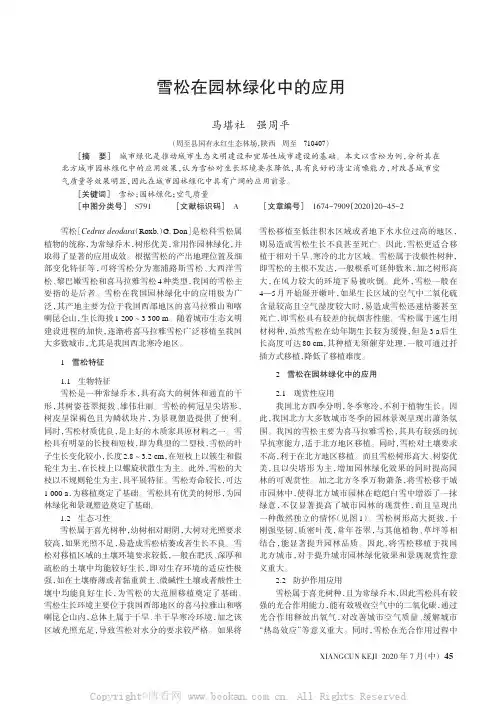 雪松在园林绿化中的应用