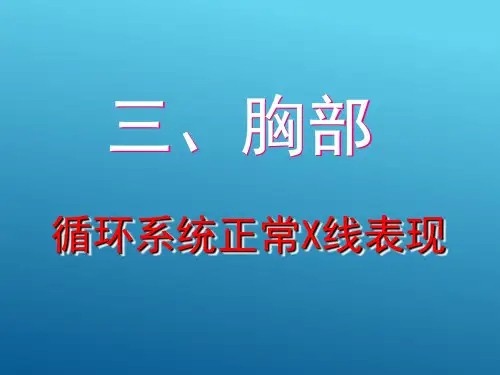 胸部DR 胸部循环系统正常X线 (医学影像检查技术课件)