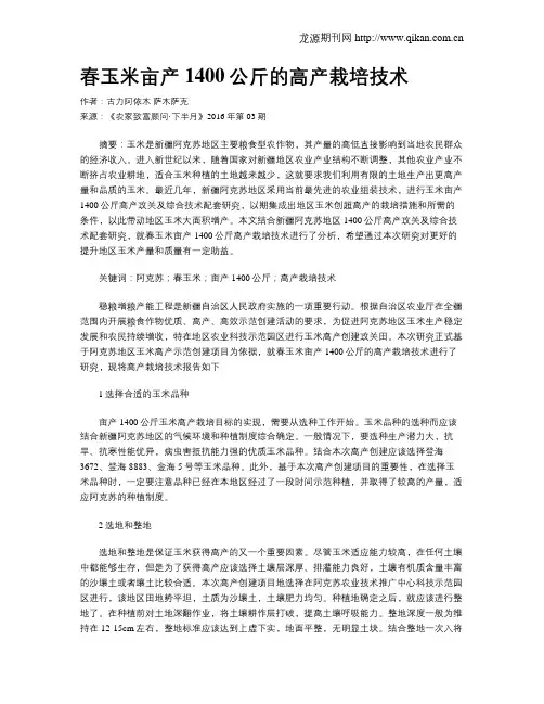 春玉米亩产1400公斤的高产栽培技术