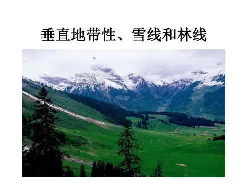 微专题垂直自然带雪线与林线_2022年学习资料