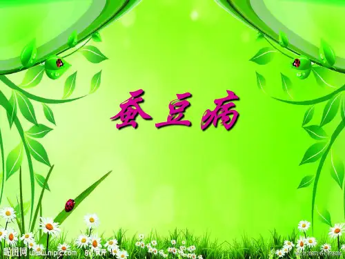蚕豆病课件