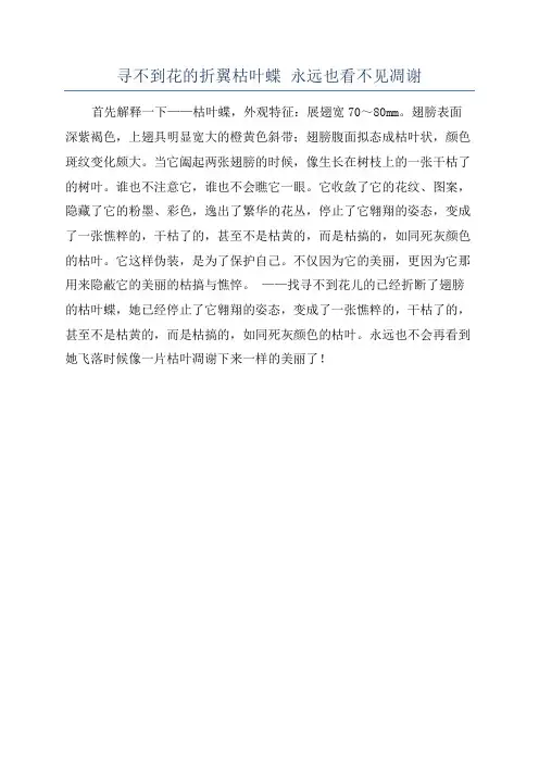 寻不到花的折翼枯叶蝶 永远也看不见凋谢