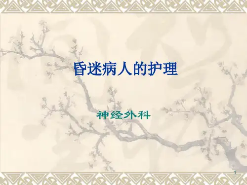昏迷病人的护理PPT幻灯片课件
