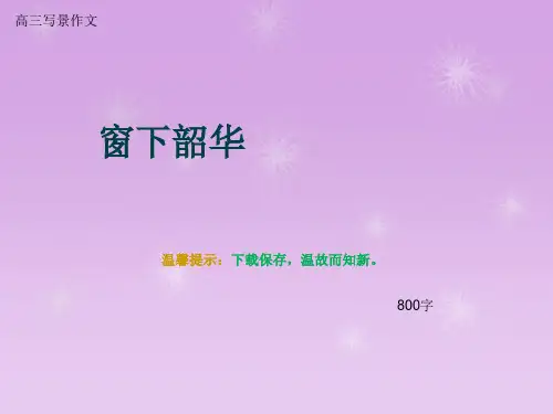 高三写景作文《窗下韶华》800字