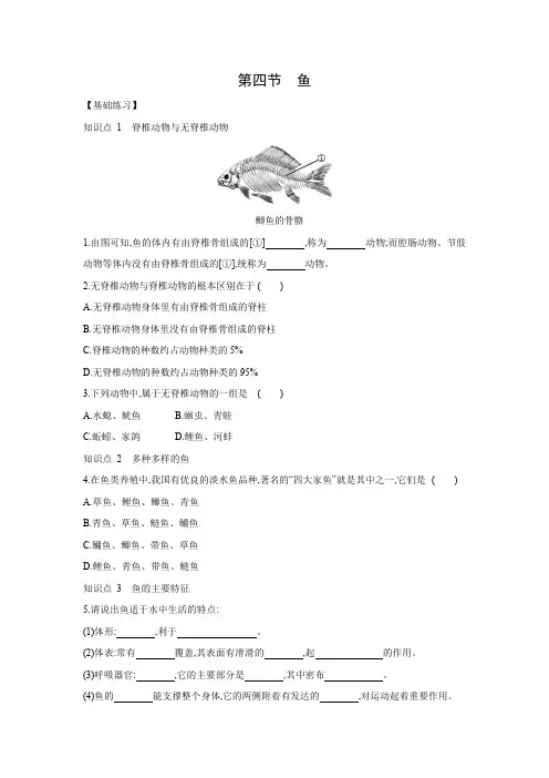 5.1.4 鱼.同步练习 2021——2022学年人教版八年级生物上册