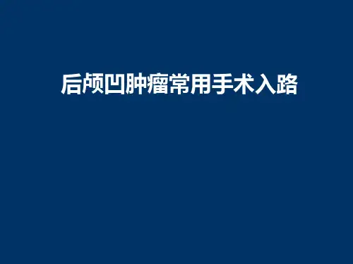 后颅凹肿瘤常用手术入路