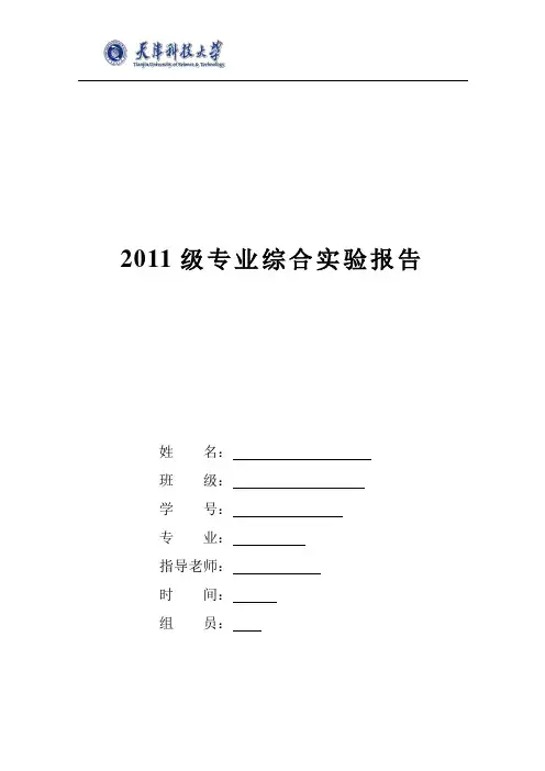 专业综合实验报告资料