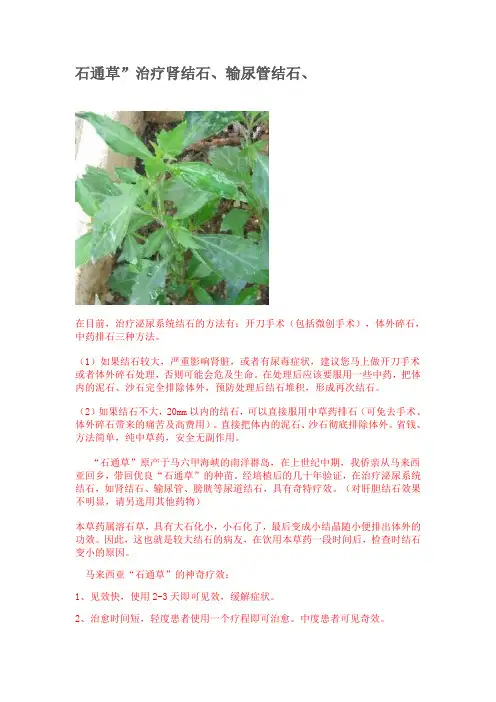 结石偏方汇总