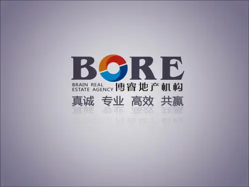 黔西县项目案名提案