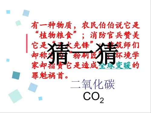 浙教版八年级科学下3.4二氧化碳教学课件共17张PPT