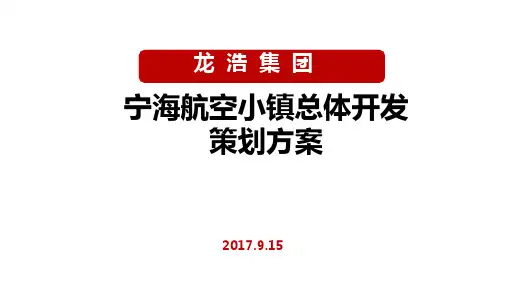 航空小镇总体规划方案