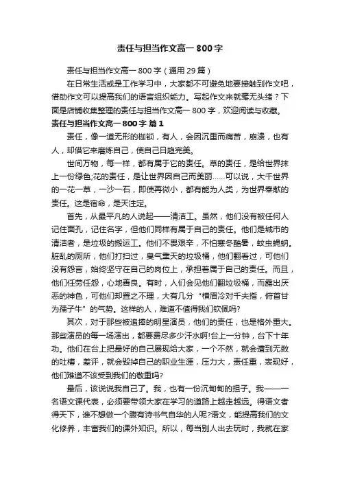 责任与担当作文高一800字