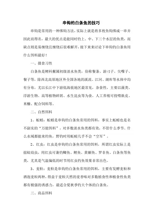 钓鱼技巧：串钩钓白条鱼的技巧
