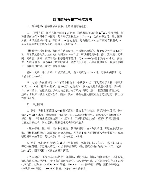 四川红油香椿苗种植方法