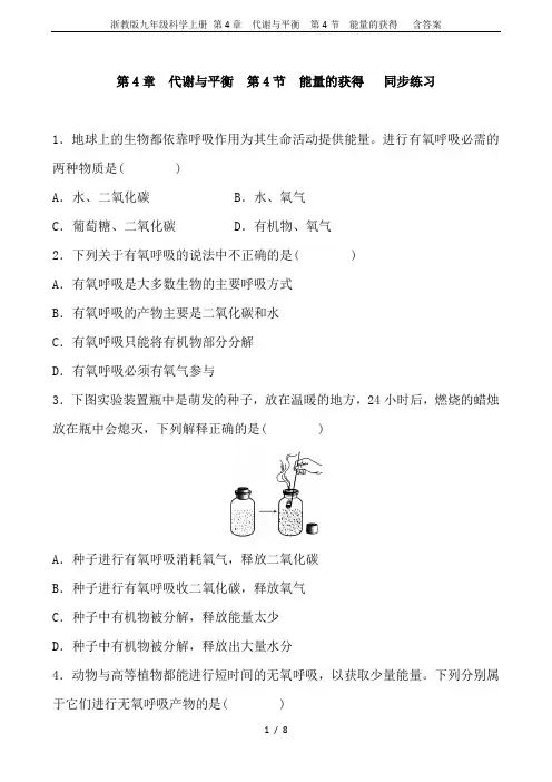 浙教版九年级科学上册 第4章 代谢与平衡  第4节  能量的获得   含答案