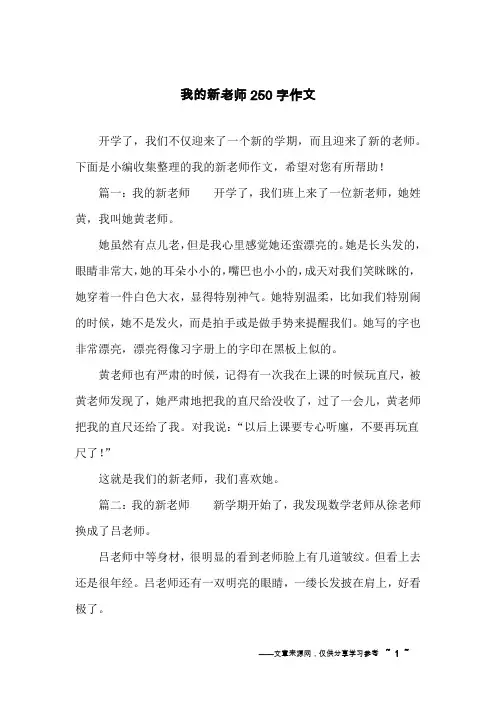 我的新老师250字作文