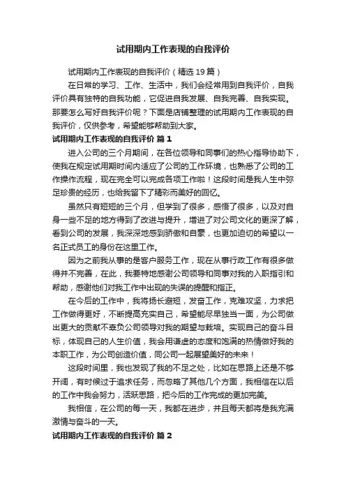 试用期内工作表现的自我评价