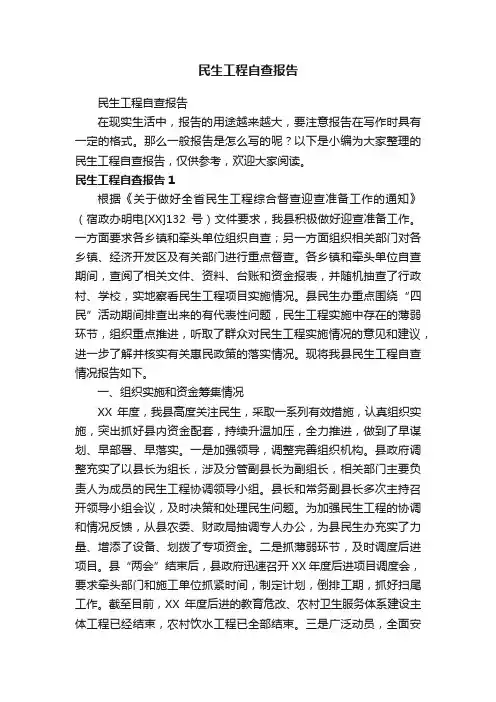 民生工程自查报告