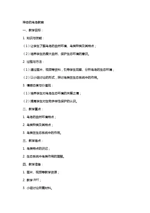 语文神奇的鸟岛教案