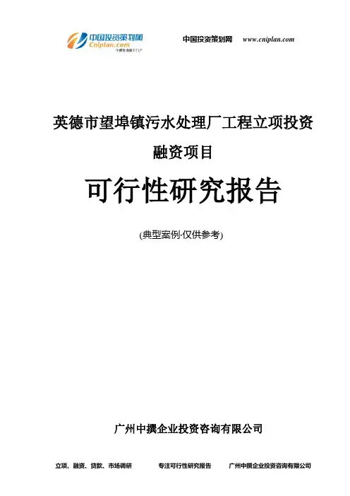英德市望埠镇污水处理厂工程融资投资立项项目可行性研究报告(非常详细)