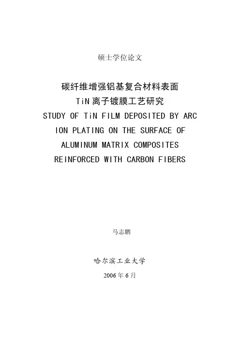 碳纤维增强铝基复合材料表面TiN离子镀膜工艺研究---优秀毕业论文参考文献可复制黏贴