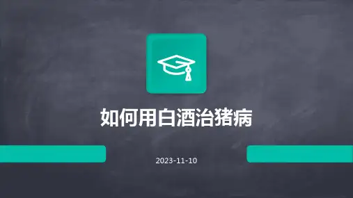 如何用白酒治猪病