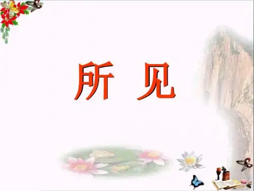 《所见》 精品PPT课件7