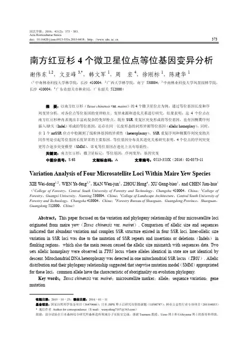 南方红豆杉4个微卫星位点等位基因变异分析