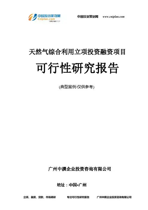 天然气综合利用融资投资立项项目可行性研究报告(非常详细)