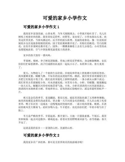 可爱的家乡小学作文