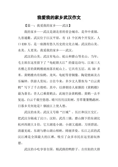 我爱我的家乡武汉作文