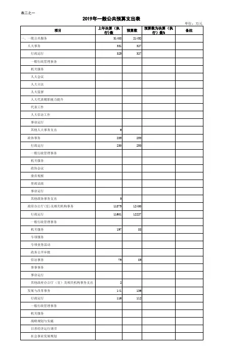 2019年一般公共预算支出表