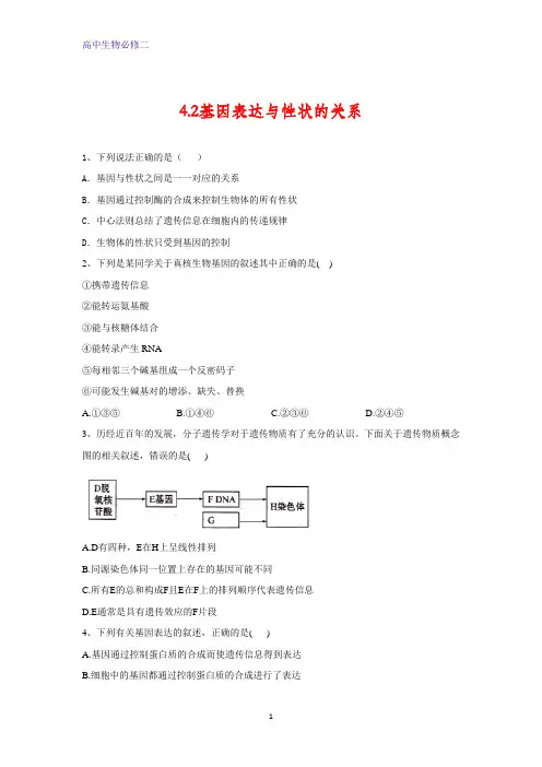 人教版生物必修二同步学典：4.2基因表达与性状的关系含答案