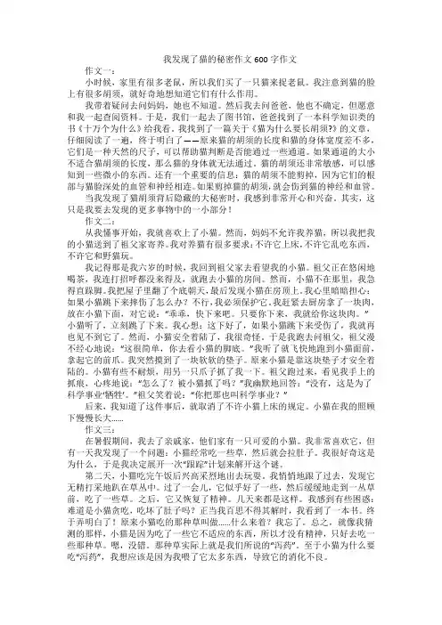 我发现了猫的秘密作文600字作文