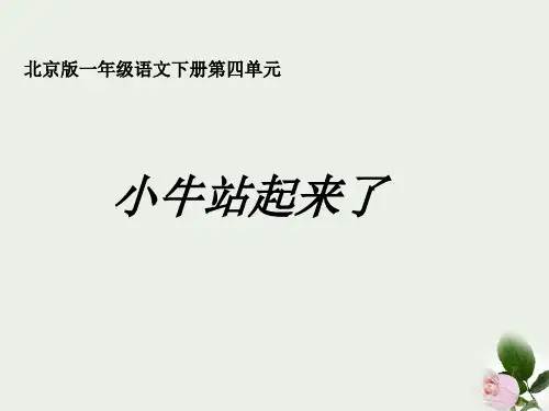 一年级语文下册 小牛站起来了课件 北京版