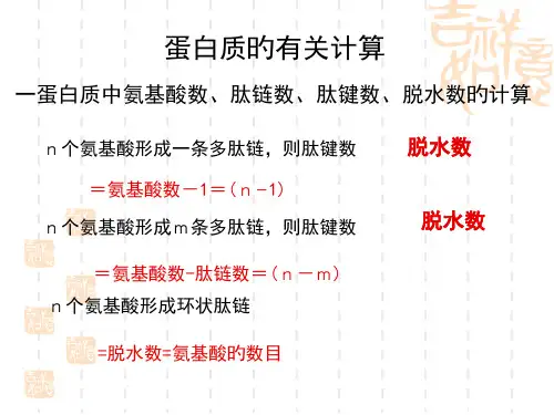 蛋白质相关计算优质课件