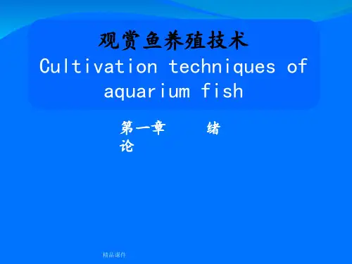 第一章 观赏鱼养殖绪论ppt课件