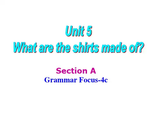 Unit5 Section A(Grammar Focus-4c)2025学年人教版英语九年级全册 