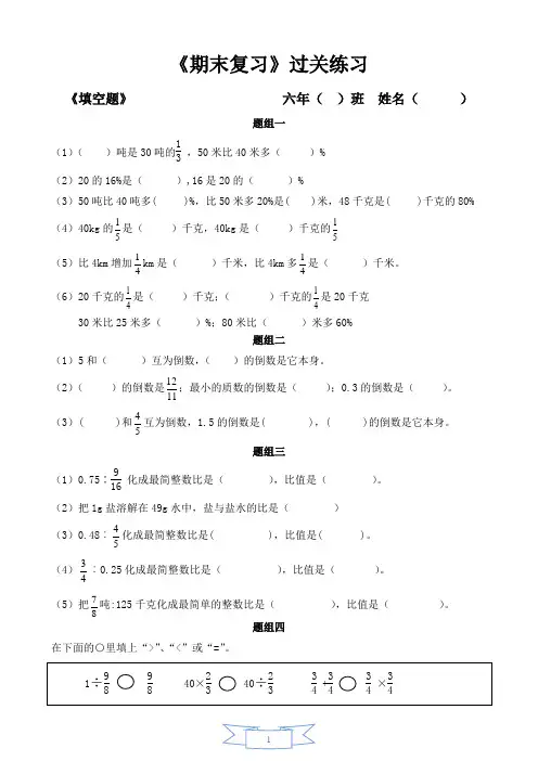 复习过关练习(试题)六年级上册数学人教版
