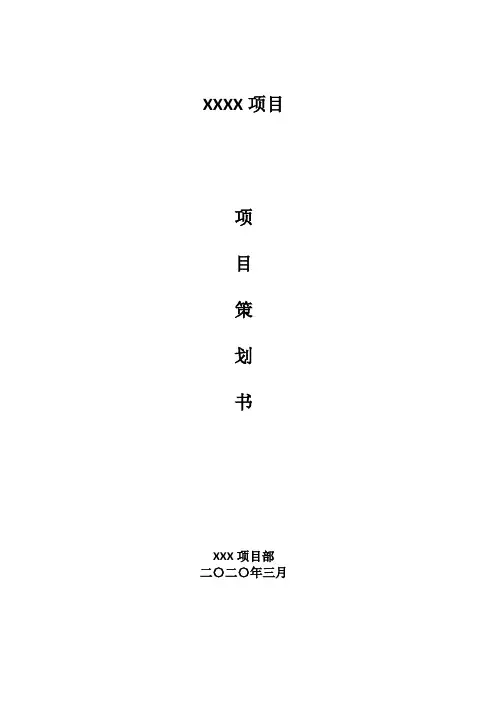XX项目策划书