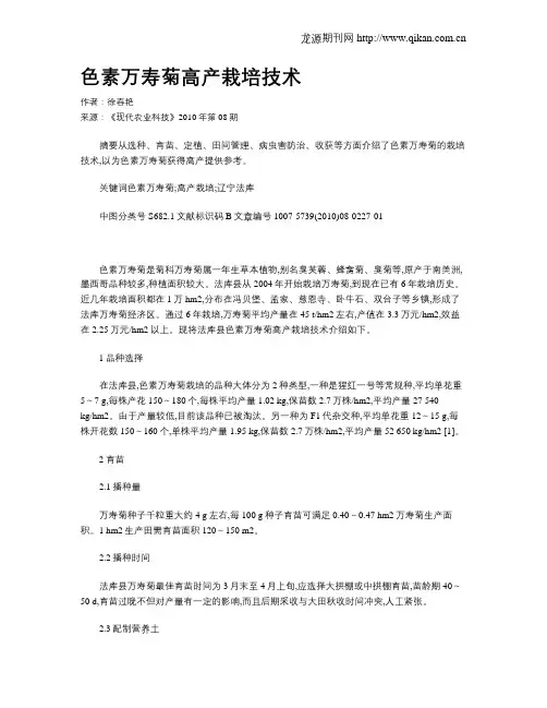 色素万寿菊高产栽培技术