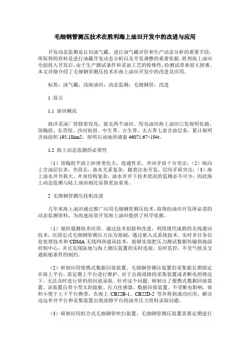 毛细钢管测压技术在胜利海上油田开发中的改进与应用